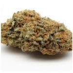 Шишки AK47  (Гидропоника, Бошка) VHQ в Конаково